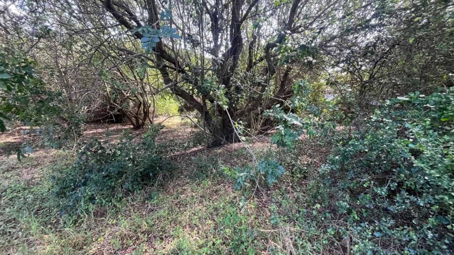 Commercial Property for Sale in Paradise Beach Eastern Cape